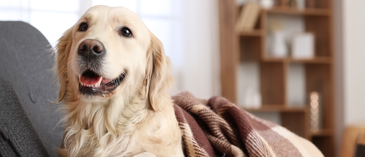 筋力低下のサインを見落とさないために